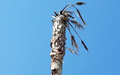 The Other Half of the Equation: 5 Things Cannes Misses about Media’s Creative Impact